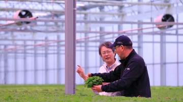  Philips GreenPower LED toplighting compact was installed in the newly built MGS Greenhouse at the Okadama farm
