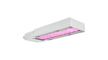 Philips LED toplighting compact