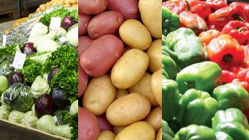fresh food collage