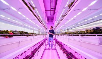 Cita de GrowWise