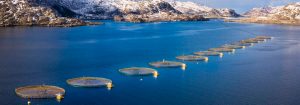 Marine-based aquaculture