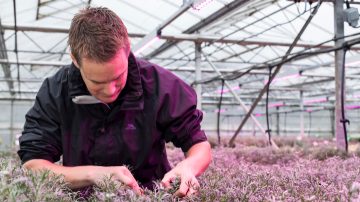 Jusqu’à 96 % de taux de réussite de propagation en plus avec les lampes de propagation à LED Philips