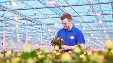 Éclairage LED pour serre adapté aux fruits : prévision des récoltes, amélioration des rendements et réduction des coûts énergétiques