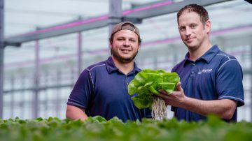 Lampes de croissance LED pour laitue et légumes-feuilles