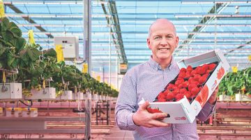 Marcel Dings, directeur de Brookberries