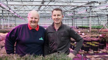 Plantes du parc Kernock