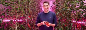 Créer une recette de croissance pour l’agriculture en intérieur