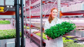 Philips LED 草本植物生长灯，可提高产量并改善口感