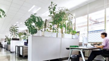 Oficinas en planta abierta en Bosch (Alemania) iluminadas por Philips lighting
