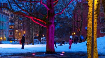 Själva lekplatsen är belyst av LED-strålkastarna DecoFlood2 som ger ett varierat, levande och inbjudande ljus. De höga träden i parken är ljussatta med infällda markarmaturer DecoScene LED. Gång- och cykelvägar lyses upp av parkarmaturen Metronomis LED Fluid och övergångställena i anslutning till parken är belysta av armaturen Copenhagen LED small Crosslight