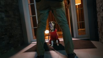 A man about to enter the front door is awaited by his dog