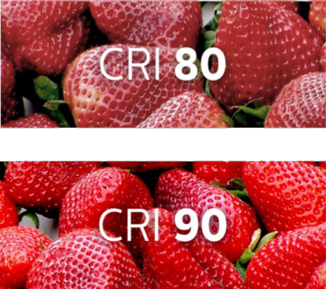 "Comparaison des fraises sous l’éclairage à IRC de 80 et IRC de 90, démontrant un rendu des couleurs amélioré pour les présentoirs de produits frais. »