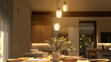 Pendant light