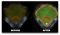 Baseball sports lighting upgrade - before and after.