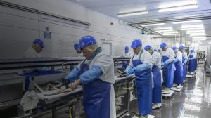 The Importance of Lighting in Food Processing Facilities