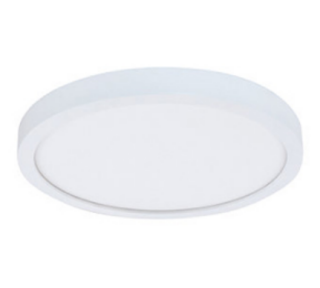 Surface / Flush Mount