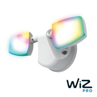 ESF WiZ Smart Floodlight