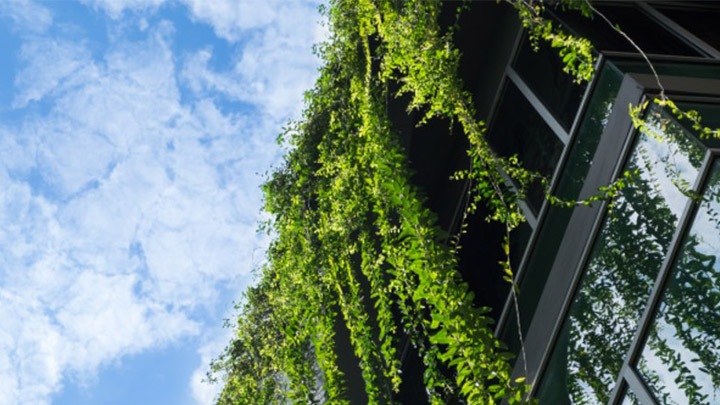 How green buildings will help save the world