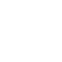 Design-in team