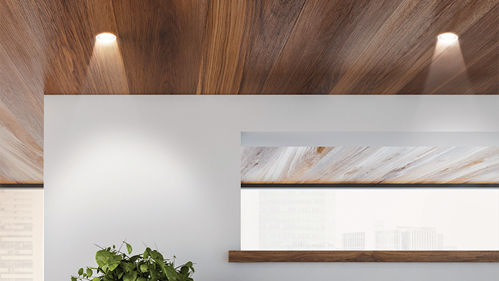 Philips Deco Cob Spot Lights