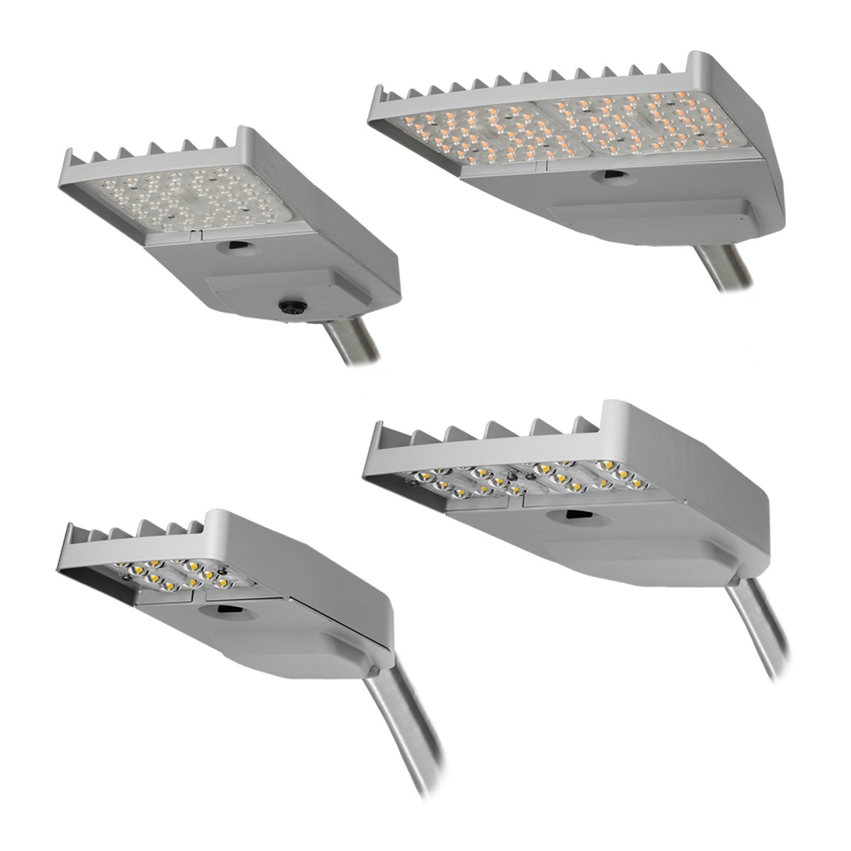 cobra head lights