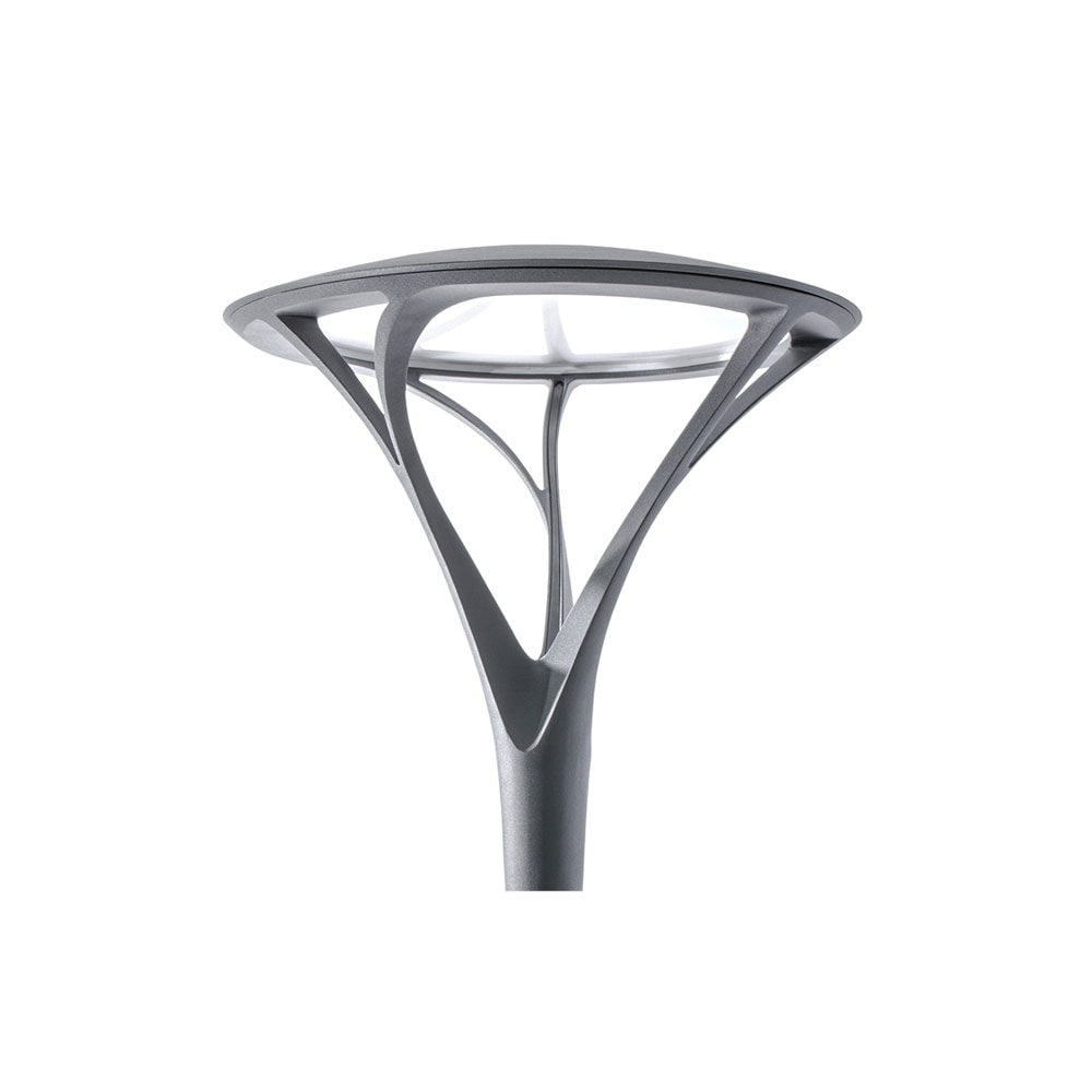 Arbor