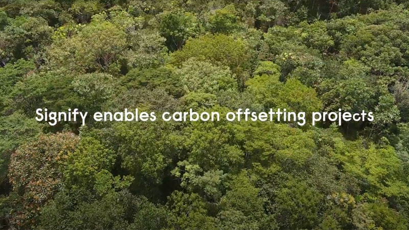 carbon offsetting projects