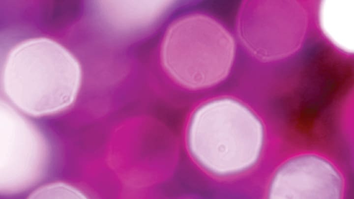 Color science