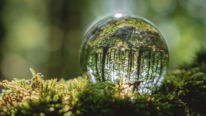 Circular economy