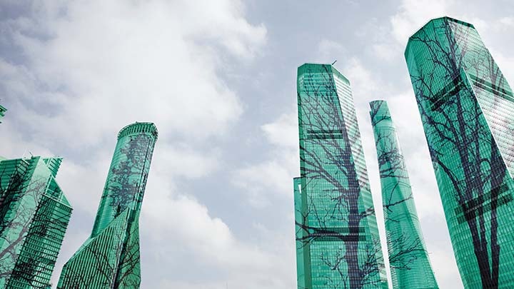 fa&ccedil;a a caminhada verde