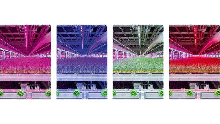 If you&rsquo;re interested in learning how LED lighting, specifically, dynamic LED lighting, is changing the horticulture industry, you&rsquo;ll want to check in with Signify at 2019 Indoor Ag-Con in Las Vegas, May 22-24. 
