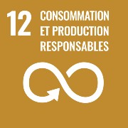 SDG-12