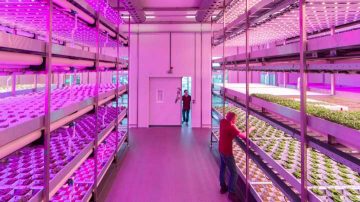 Vertical farming LED grow lights