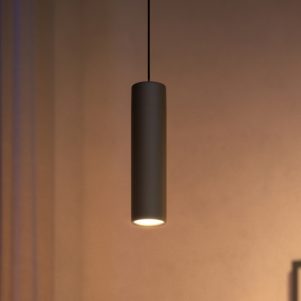 Suspension
