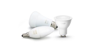 Explore Bulbs