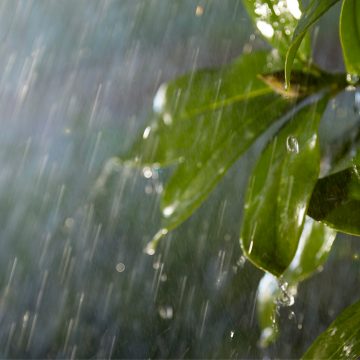 Outdoor-Lightstrips funktionieren bei jedem Wetter