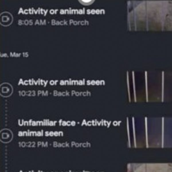 Timeline