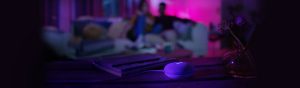 Which Google commands work with your Hue devices?