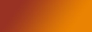 PHILIPS HUE CONTENT TERMS OF USE