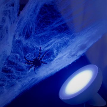 Halloween spider in web that is lit up by blue light 