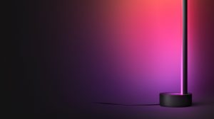 Quand les couleurs se conjuguent... 