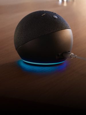 Couple using Amazon Alexa to turn on Philips Hue smart lights