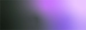 终止支持政策